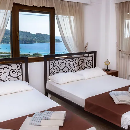 Demi أمولياني