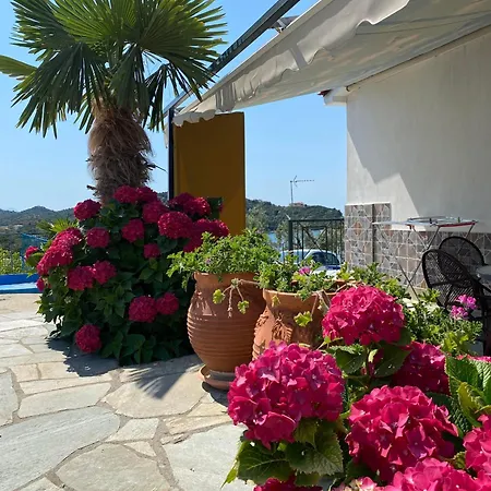 公寓式酒店 Demi